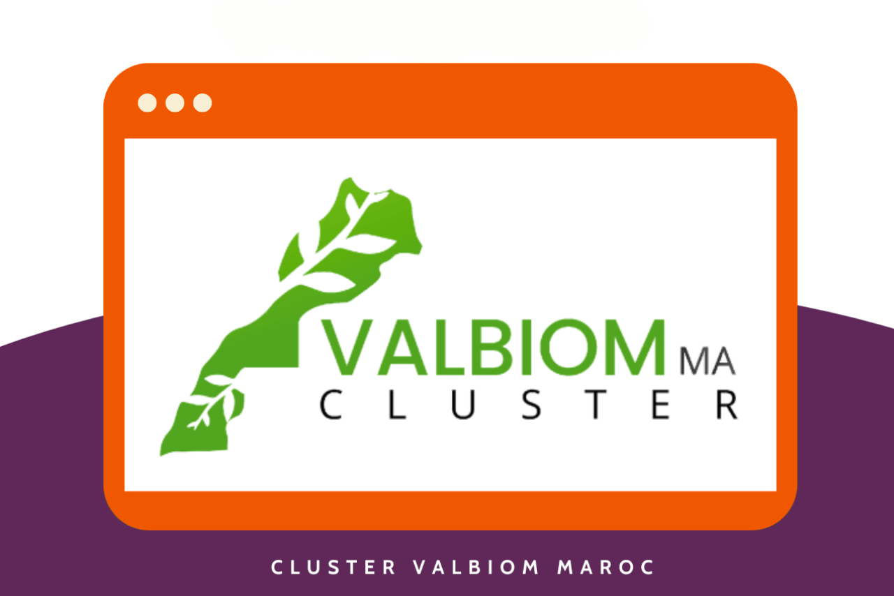 CLUSTER VALBIOM MAROC